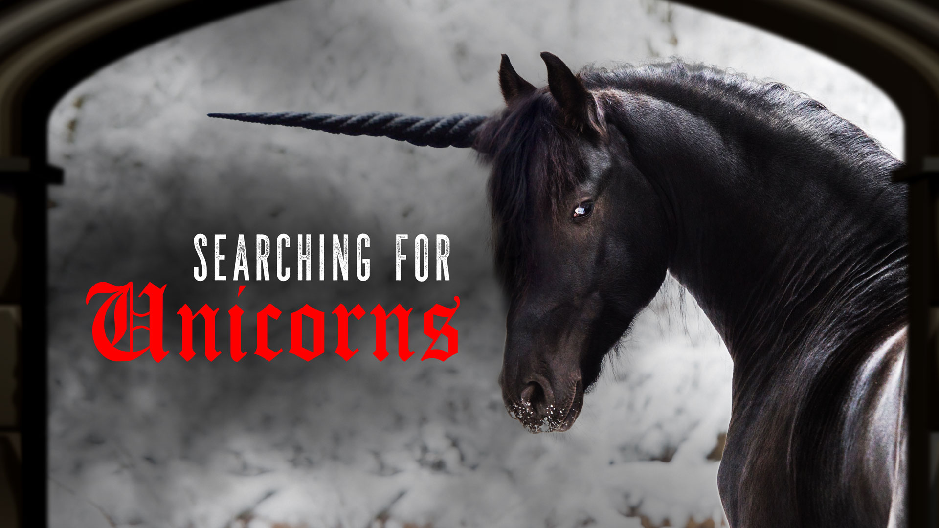  Searching for Unicorns